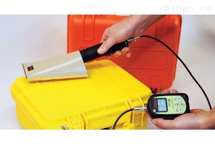 RadEye SX Portable Radiation Meter