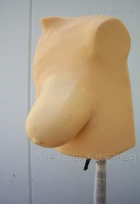 美国RSD 乳腺摄影模体