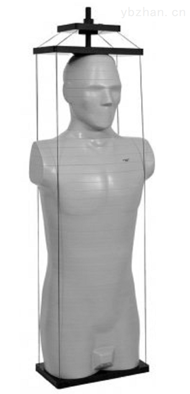 KR603 Anthropomorphic cross-sectional dosimetry model image 2