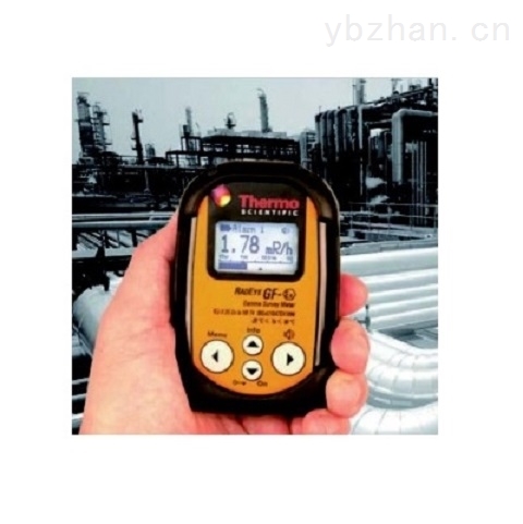 防爆型辐射测量仪产品图片