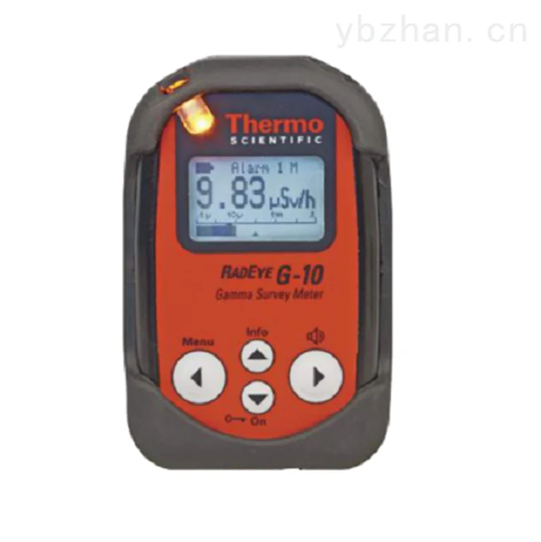RadEye G-10个人剂量率仪图片 2