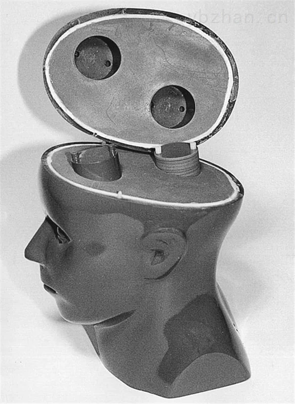 American RSD head phantom for stereotaxic surgery image 2