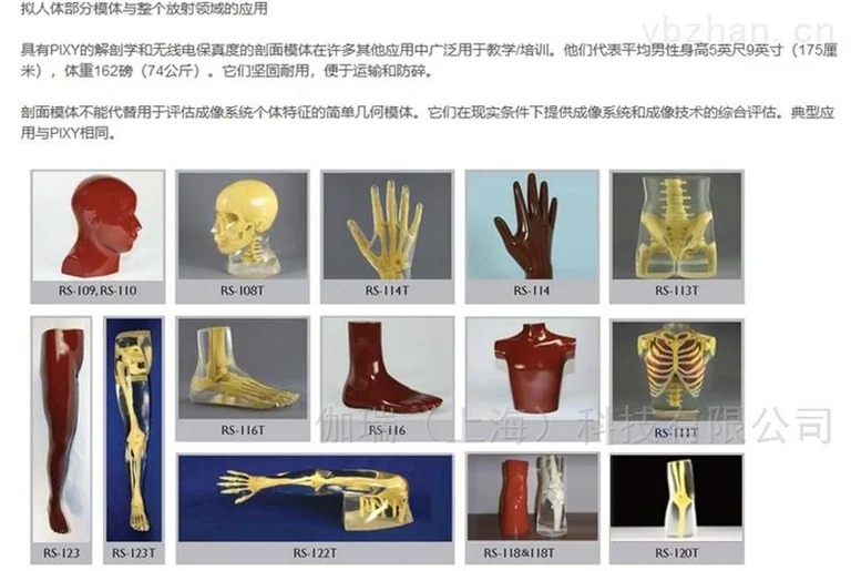 美国RSD模体 胸部肺部模体胸肺模体图片 6