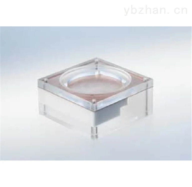 Dental X-ray machine inspection phantom image 3