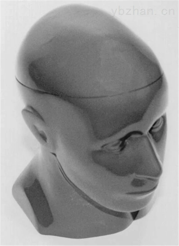 American RSD head phantom for stereotaxic surgery image 3