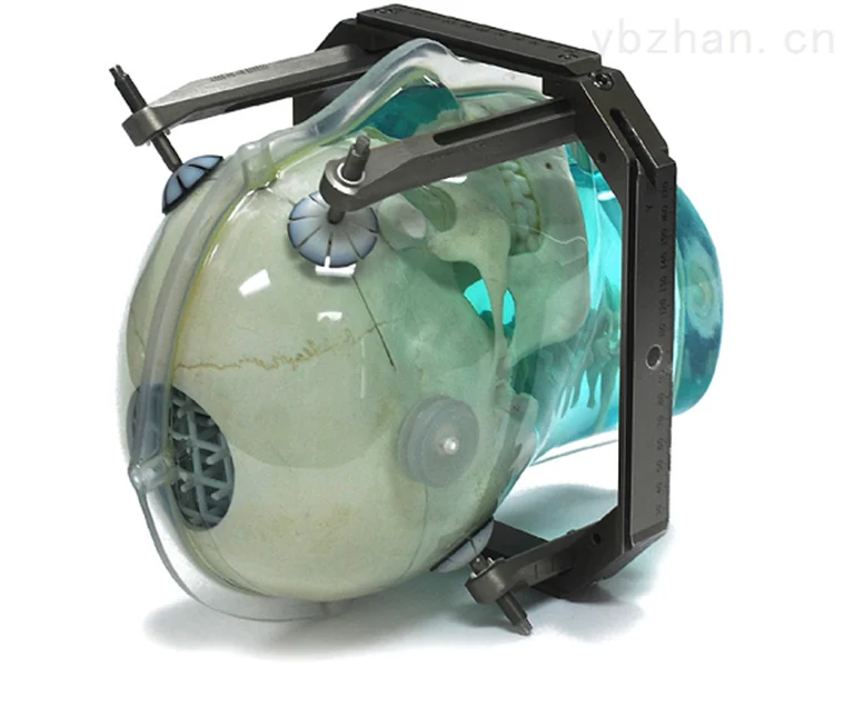 CIRS MR distortion and image fusion head phantom image 2