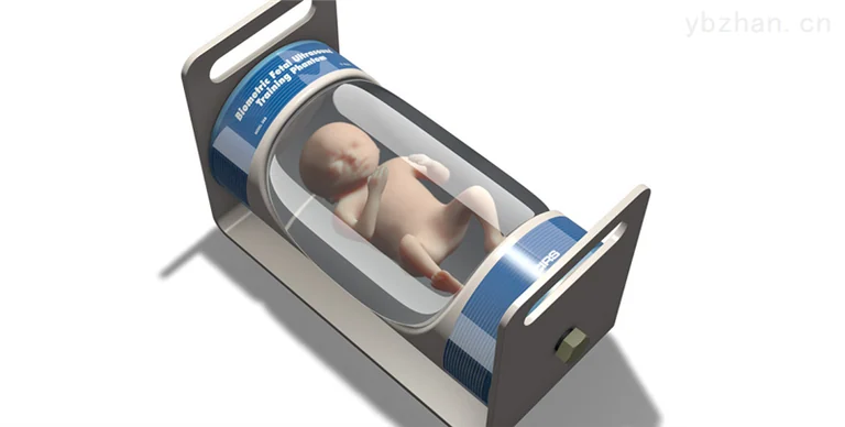 CIRS 068 Fetal Ultrasound Biometric Phantom image 2