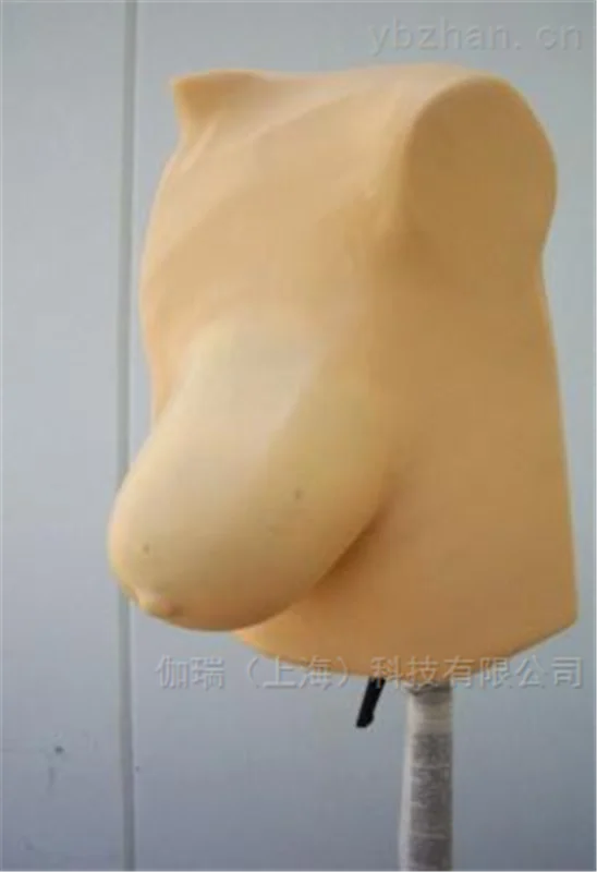 美国RSD 乳腺摄影模体图片 2