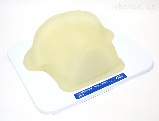 美国CIRS 074甲状腺超声训练模体